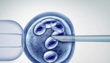 试管婴儿选择鲜胚移植的成功率大概有多少？移植后如何提升成功率