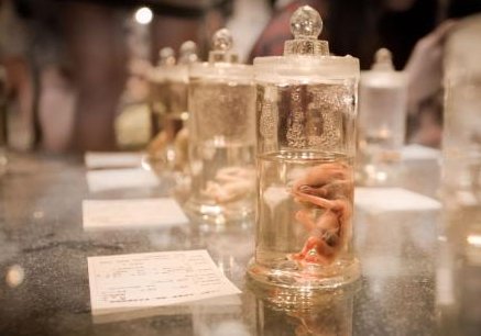 女性怀孕困难怎么办，在阜阳市有医院能做试管婴儿吗？听听当地姐妹们怎么说