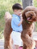 女性怀孕困难怎么办，在东宁市有医院能做试管婴儿吗？听听当地姐妹们怎么说