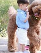 泰国单身三代试管婴儿多少钱？附姐妹花费分享