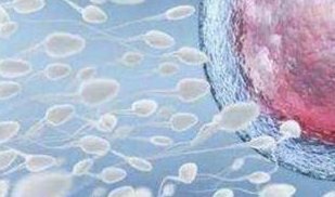 合肥试管婴儿医院排名，专业性／成功率和费用对比