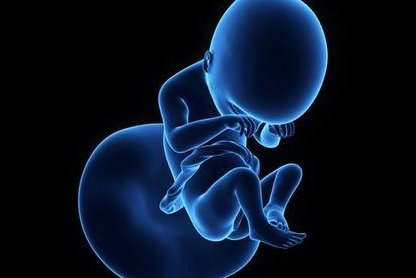 杭州三代试管婴儿费用全解析，从体检到移植的详细预算